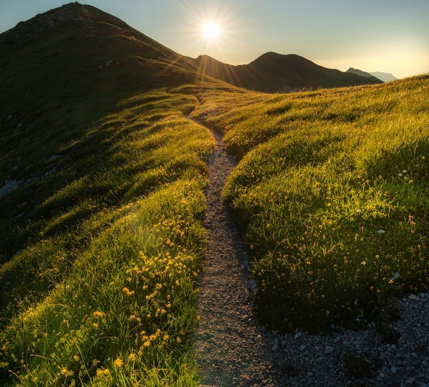 A narrow dirt trail winds through a sunlit mountain meadow with vibrant green grass and yellow wildflowers, leading toward a range of hills 